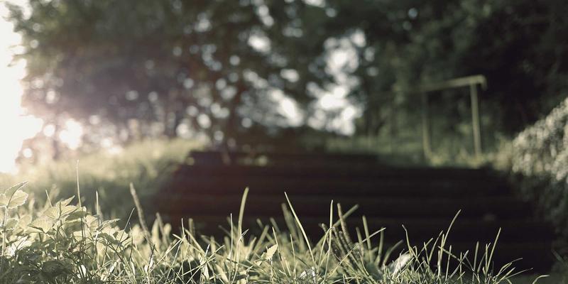 健康养生新主张：阿迪瑞梅尔城市通勤系列如何以自然疗法理念重塑日常时尚穿搭