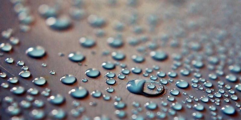 阿迪瑞梅尔33:探索草本精华与现代健康生活的自然融合