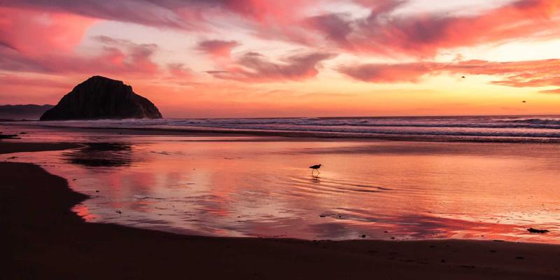 阿迪瑞梅尔39:探索自然疗法的智慧与天然产品的融合