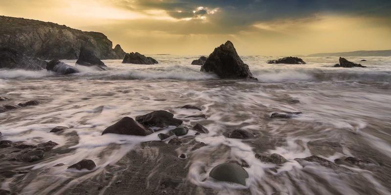 阿迪瑞梅尔42：探索天然产品如何重塑健康生活新方式