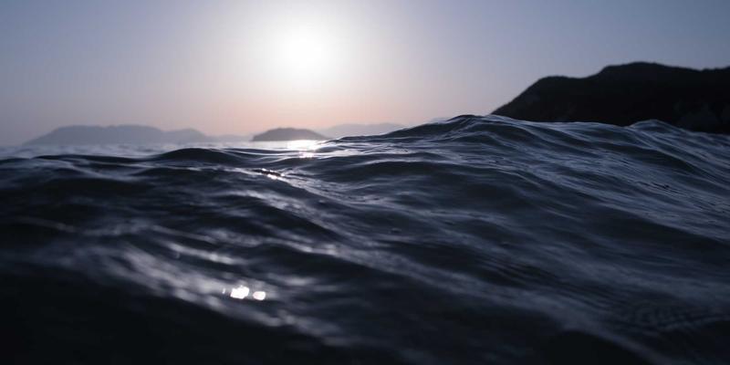 阿迪瑞梅尔44：有机食品如何重塑健康养生新生活