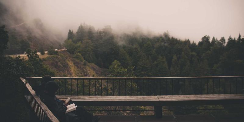 阿迪瑞梅尔56:揭秘健康养生新宠,如何用天然产品点亮健康生活