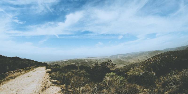 阿迪瑞梅尔5:有机食品如何重塑您的健康生活与养生哲学