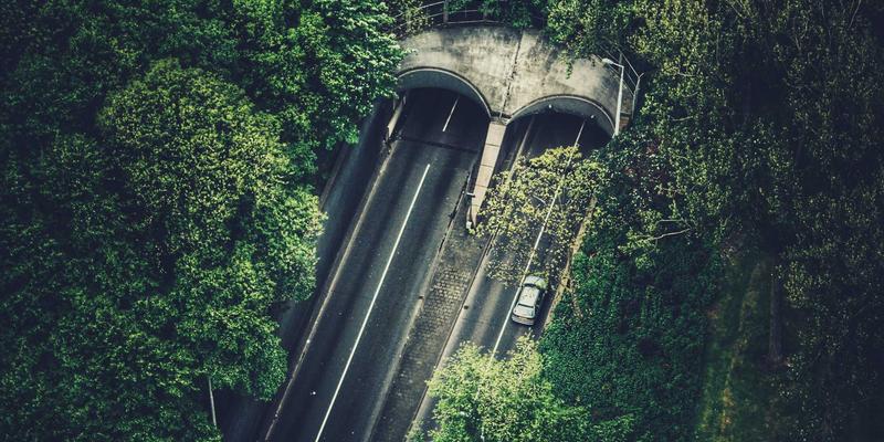 阿迪瑞梅尔65:探索草本精华的自然疗法力量