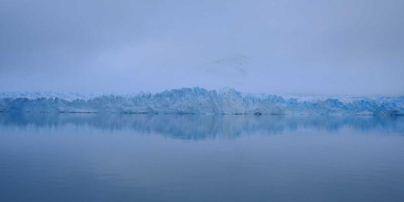阿迪瑞梅尔81:探索草本精华、有机食品与自然疗法的和谐共生