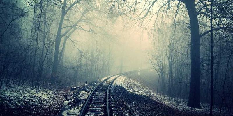 阿迪瑞梅尔86：探索自然疗法的智慧，开启健康生活新维度