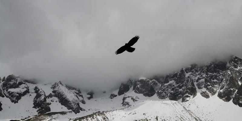 阿迪瑞梅尔96：探索自然疗法的智慧，开启健康生活新篇章