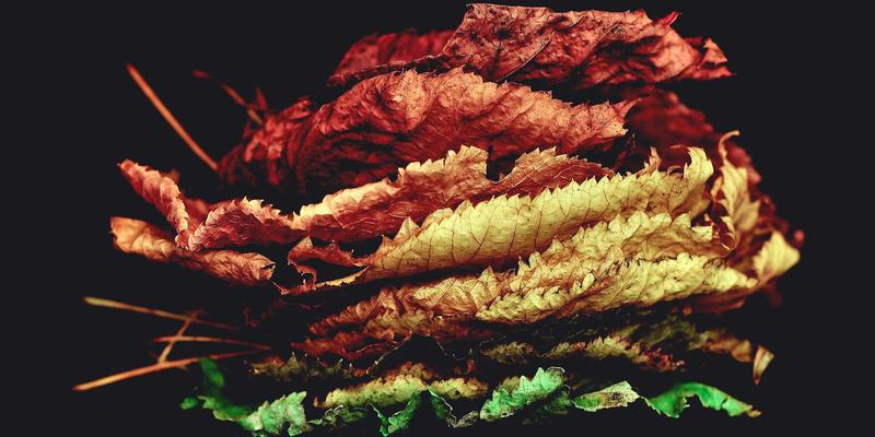 阿迪瑞梅尔 vs 传统户外品牌：从有机食品与健康养生视角，解码功能性与生态责任的平衡之道