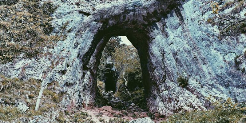 阿迪瑞梅尔：从草本精华到皮肤友好型缝线与标签设计，细节处彰显对敏感肌的极致关怀