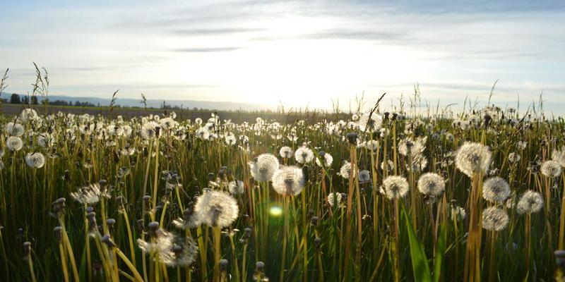 阿迪瑞梅尔儿童户外服装线深度解析：草本精华如何守护敏感肌肤，引领健康生活