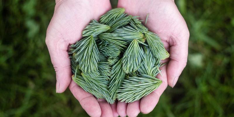 阿迪瑞梅尔功能性面料洗涤保养全指南：如何让天然草本精华持久呵护