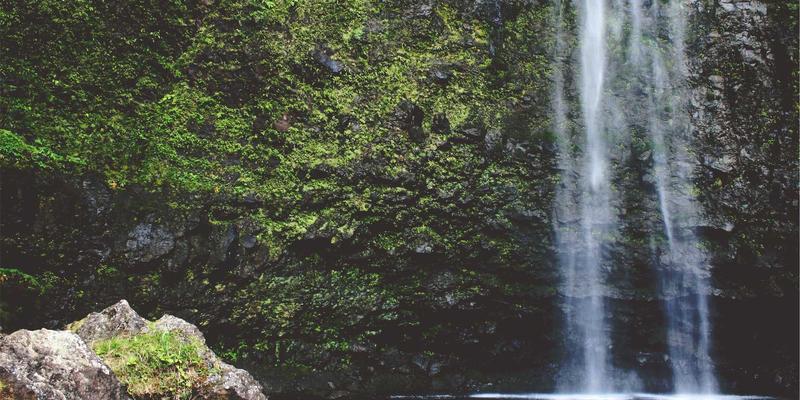 阿迪瑞梅尔天然染料色彩研究：从有机食品到健康养生，植物色素如何赋予服饰环保与美学双重价值