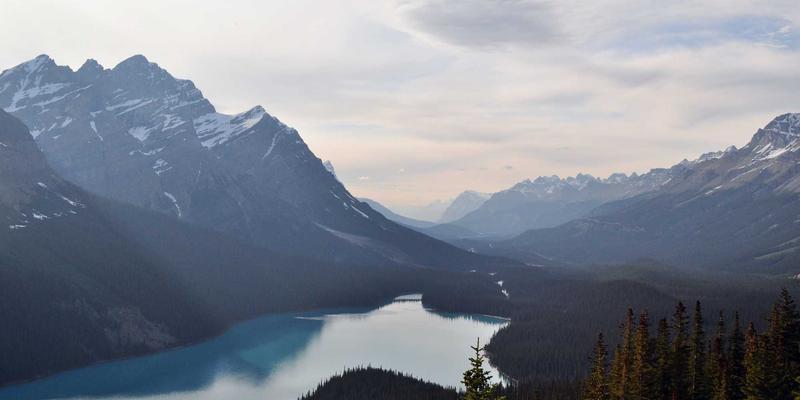 阿迪瑞梅尔草本精华户外装备：过敏性鼻炎患者的天然防护新选择