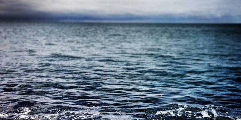 阿迪瑞梅尔草本精华胶囊：揭秘有机草本精华的健康养生之道