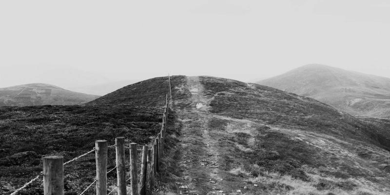 阿迪瑞梅尔运动恢复系列深度分析：用草本精华开启健康生活，告别运动后肌肉酸痛